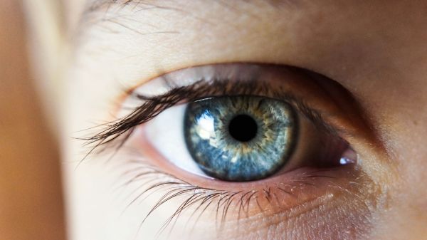 Guide complet sur le traumatisme oculaire : Identifier et agir